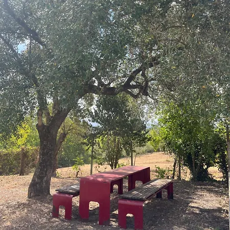 Cocomerara Tas24 Séjour chez l'habitant