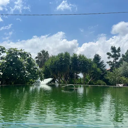 Cocomerara Tas24 * Calimera (Vibo Valentia)