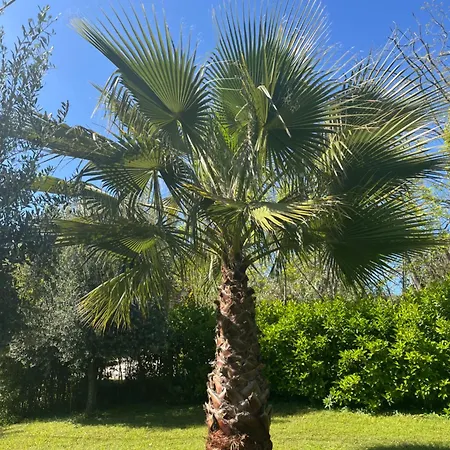 Cocomerara Tas24 Séjour chez l'habitant