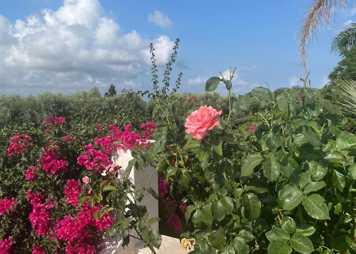 Cocomerara Tas24 Quarto em Acomodações Particulares