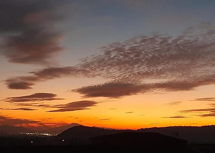 Cocomerara Tas24 * Calimera (Vibo Valentia)