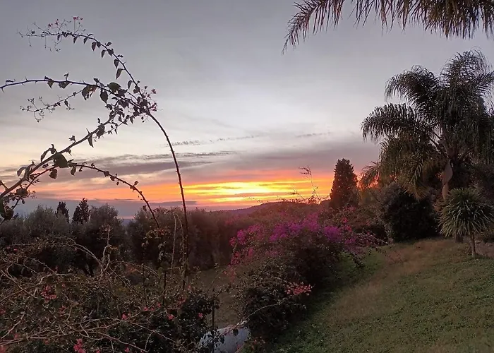 Cocomerara Tas24 * Calimera (Vibo Valentia)