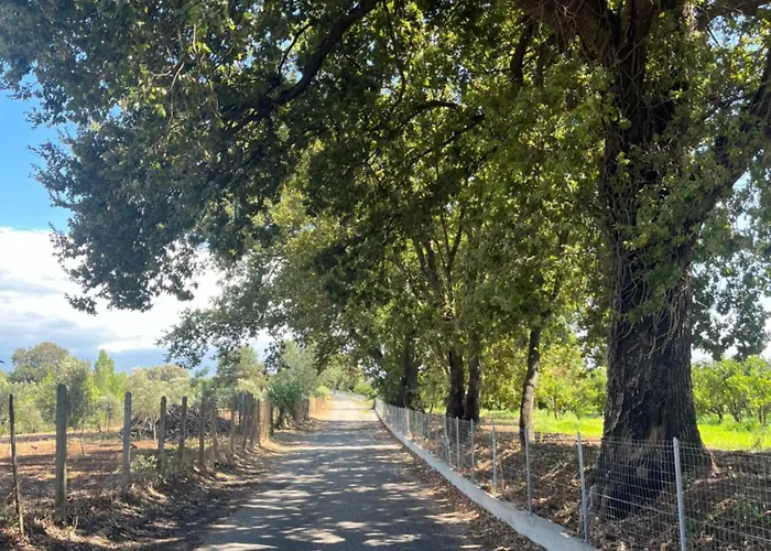 Quarto em Acomodações Particulares Cocomerara Tas24