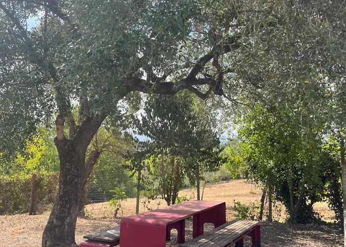 Cocomerara Tas24 Quarto em Acomodações Particulares