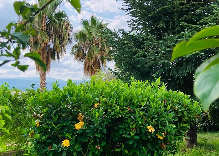 Quarto em Acomodações Particulares Cocomerara Tas24 *