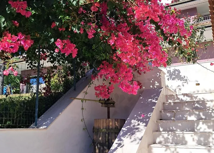 Cocomerara Tas24 Calimera (Vibo Valentia)