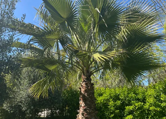 Cocomerara Tas24 Quarto em Acomodações Particulares